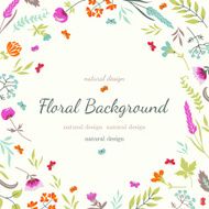 Floral background with flowers and herbs N5