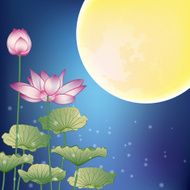 Lotus and Moon at Night