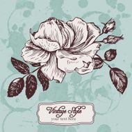 vintage vector floral card N5