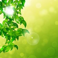 Nature Bright Background