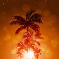 Summer Tropical Background N2