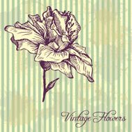 vintage vector floral background N7