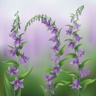 Summer background N39