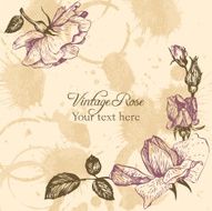 vintage vector floral card N7