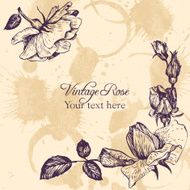 vintage vector floral card N8