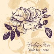 vintage vector floral card N9