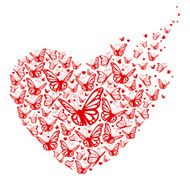 Butterfly heart isolated