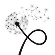 Black vector dandelion N5