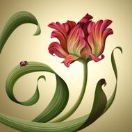 vintage tulip flower illustration N2