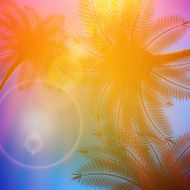 Palm trees with beautiful sunset N21