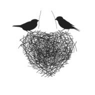 two birds making heir nest