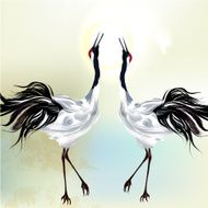 Beautiful couple of birds N2