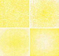 Blurry light backgrounds yellow