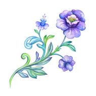 decorative flower element design element watercolor drawing isolated on white