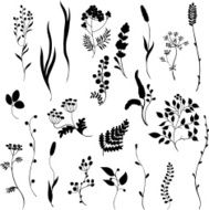 Silhouettes of grass