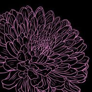 Floral card with chrysanthemum N9
