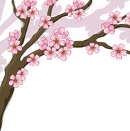 cherry blossom N26