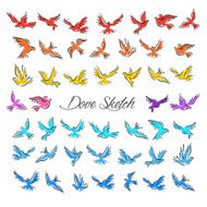 Dove and Pigeon Set in Sketch Style N3