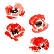 Collection of watercolor poppy flowers N15