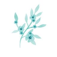 Watercolor blossom branch