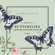 Card with butterflies and flowers N6