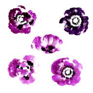 Collection of watercolor poppy flowers N17