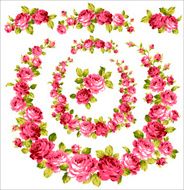 decoration of the rose