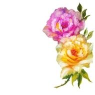 Vintage style pink and yellow roses N5