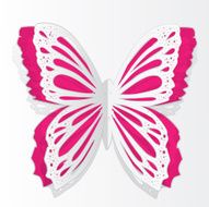 Greeting card with paper butterfly N4