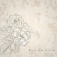 Background with bouquet of roses N4