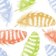 Colored feathers background