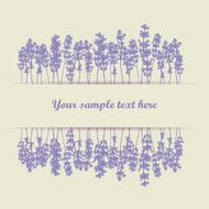Lavender card N3