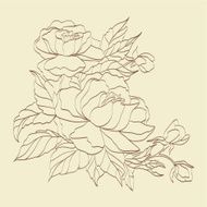 Sepia hand drawn branch of roses