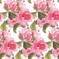 Roses N62