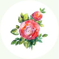 Watercolor pink wild rose