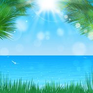 Tropical View