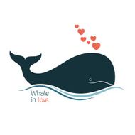 Whale in love N3