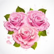 bouquet of roses in a retro design N2