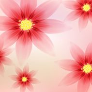 Romantic floral background N9