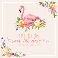 Invitation-Congratulation Card Set - Flamingo Theme