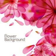 Abstract colorful background with flowers N8