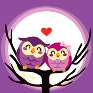 Owl Love Couple