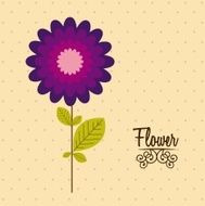 Flowers Icons N20