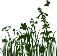 Silhouettes of flowers and grass N22