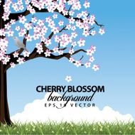 Cherry tree in spring landscape background
