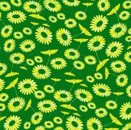 daisy background N2