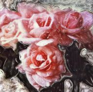 Roses N64
