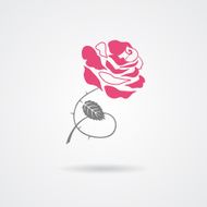 Rose symbol isolated on white background