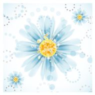 Three daisy flowers N2