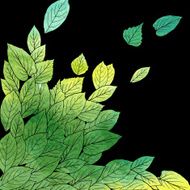 Floral composirion with leaves by watercolor